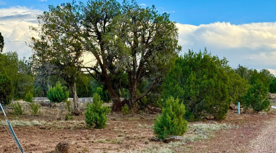 20251114200207824760000000-o