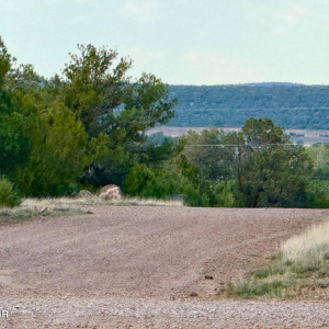 20251114200207090138000000-o