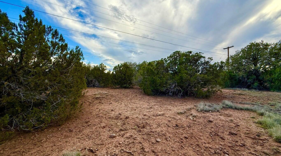 20251114200207503415000000-o