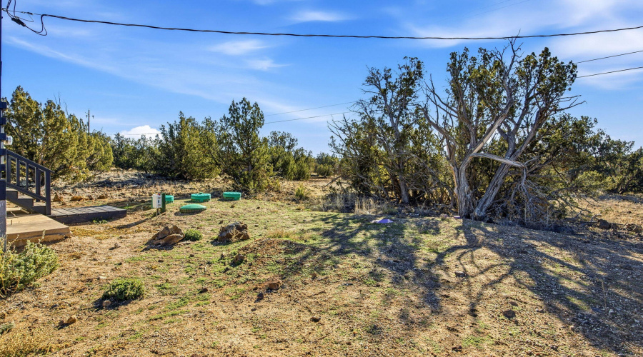 8335RainbowDr-ShowLow-AZ-22