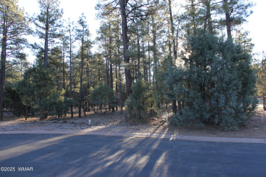 3300 Mariposa Lane, Show Low, Arizona 85901, ,Land,For Sale,Mariposa,258925
