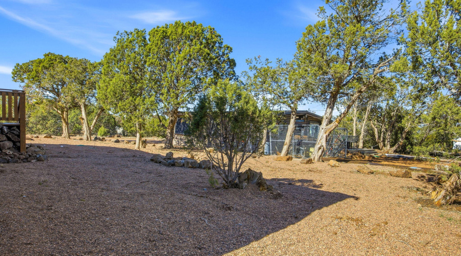 1853ShumwaySt-ShowLow-AZ-24