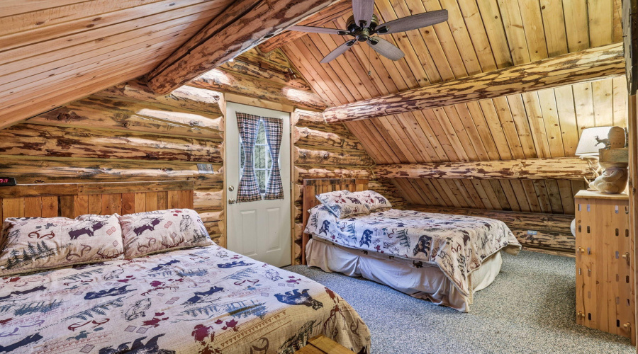 30CR2066-Alpine-AZ-16