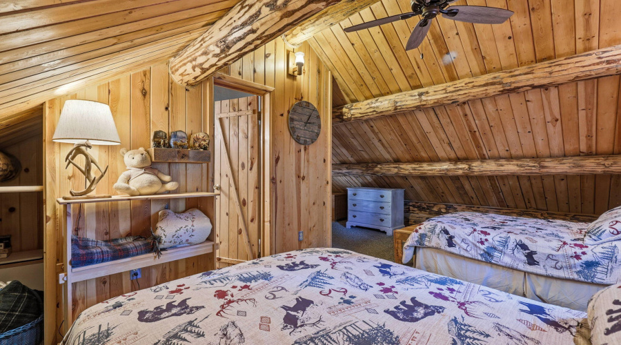 30CR2066-Alpine-AZ-17