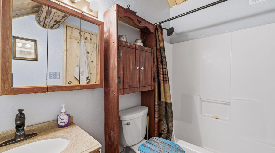 30CR2066-Alpine-AZ-19