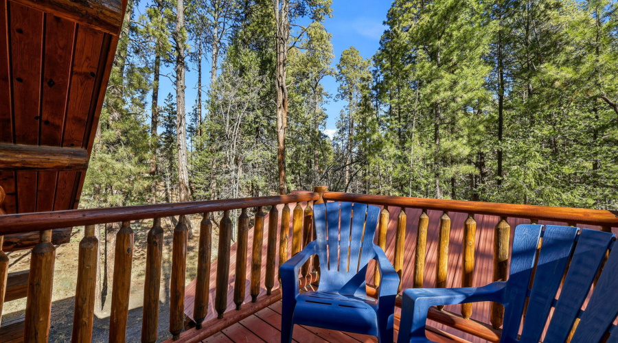 30CR2066-Alpine-AZ-20