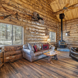 30CR2066-Alpine-AZ-6