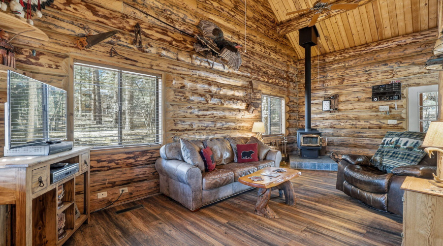 30CR2066-Alpine-AZ-6