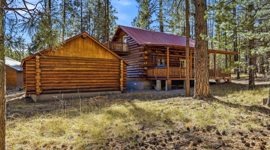 30CR2066-Alpine-AZ-23