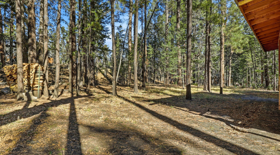 30CR2066-Alpine-AZ-25