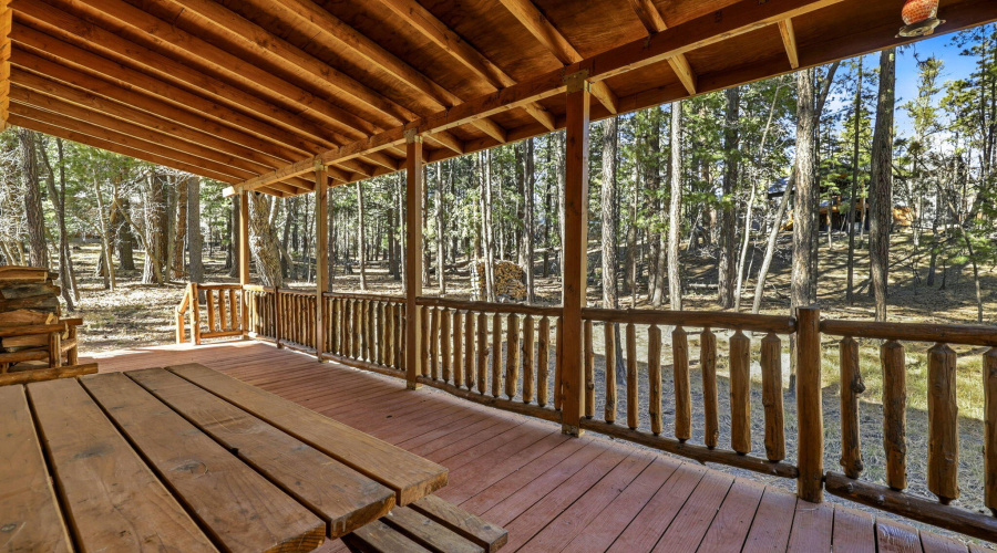 30CR2066-Alpine-AZ-27