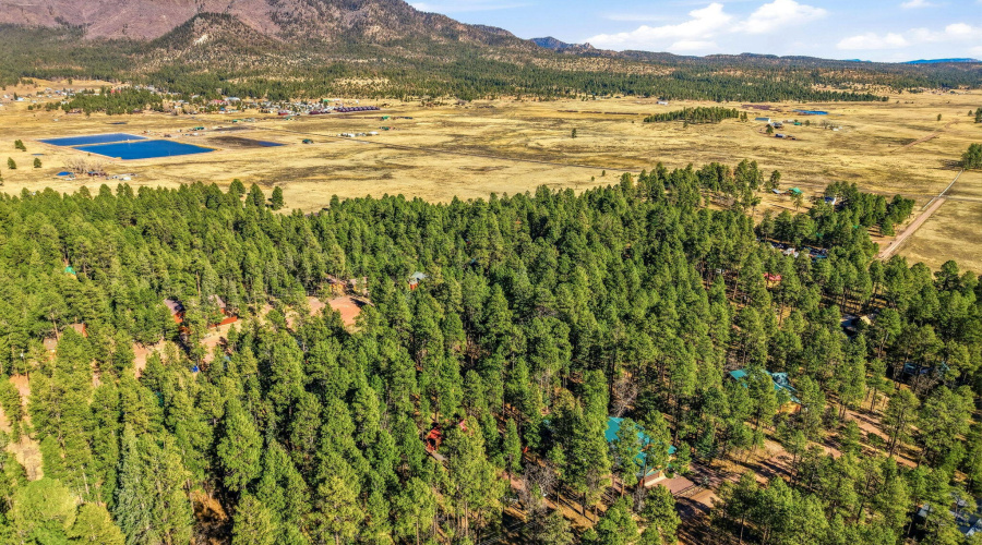 30CR2066-Alpine-AZ-30