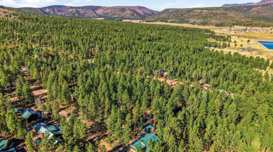 30CR2066-Alpine-AZ-31