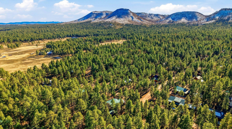 30CR2066-Alpine-AZ-32