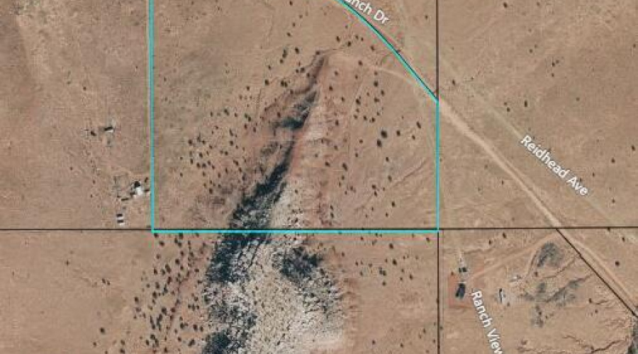 Lot Lines are Approximate