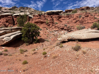 2345 Ridgeview Ranch Drive, Snowflake, Arizona 85937, ,Land,For Sale,Ridgeview Ranch,258923