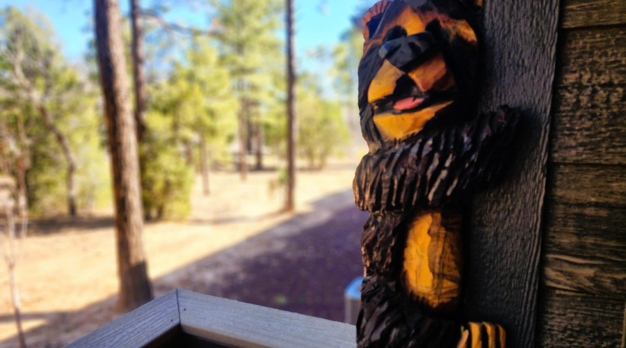 Saturn - Back Porch bear