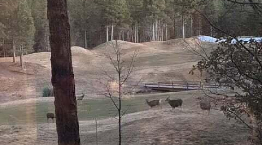 72dd5f6b-db03-47c2-a2c1-143b630c3f2f