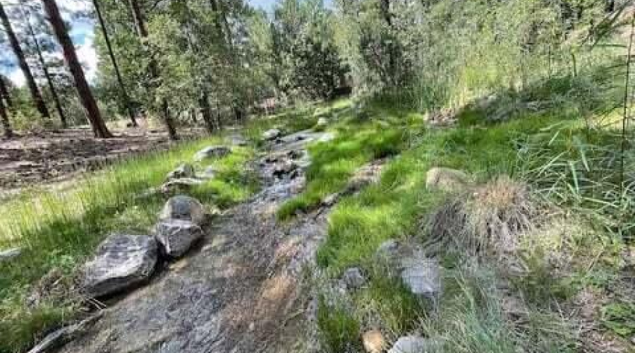 7186c65b-5b7b-442f-a004-747c58107e05