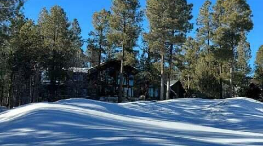 300163d2-3768-446c-aebd-ee409701b963