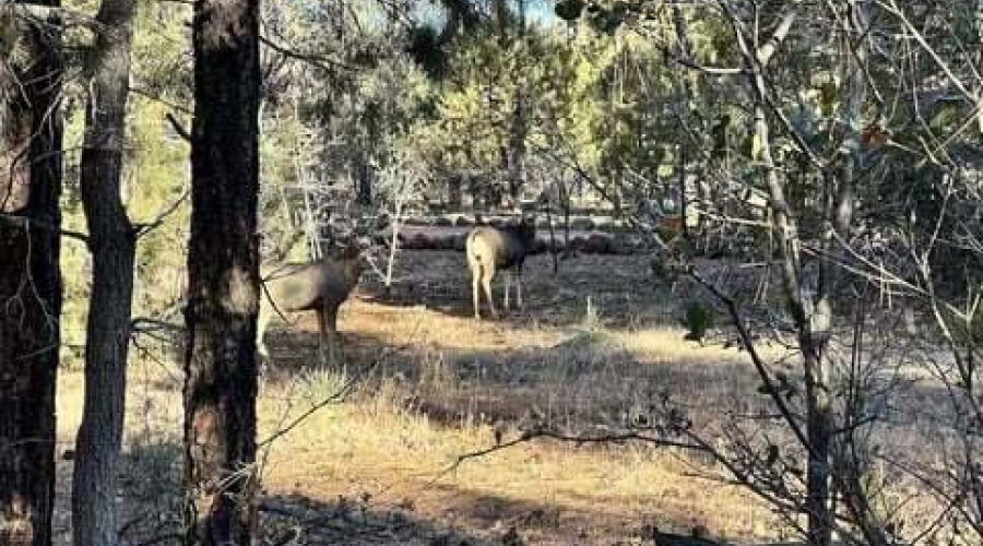 73e55f03-1017-429b-b93d-e9b2b6650f62