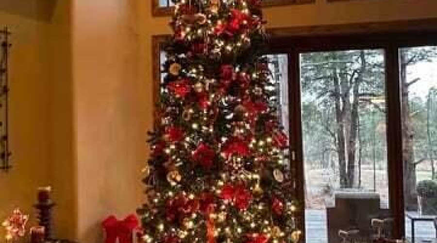 b7bf4021-c49e-426a-ba06-58f9beca8754