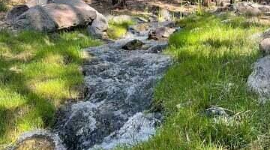 ddbfab85-2198-44bc-8525-9da2088a8887