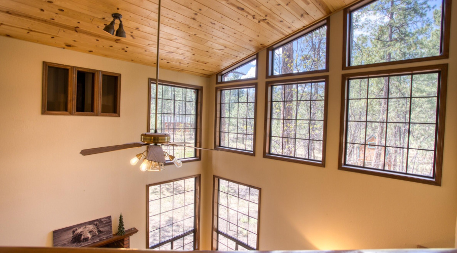 Paxmanphoto_PAX_2526