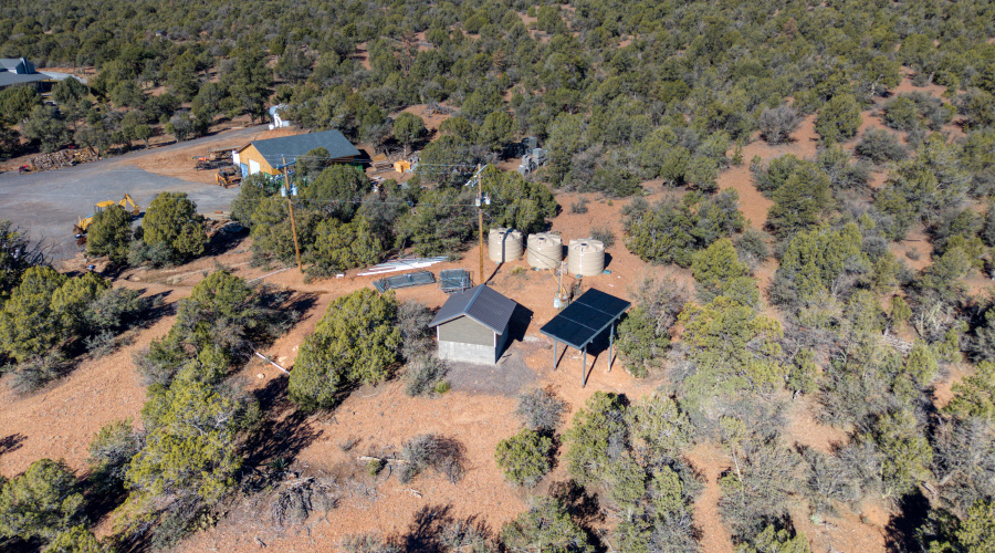 Backs National forest