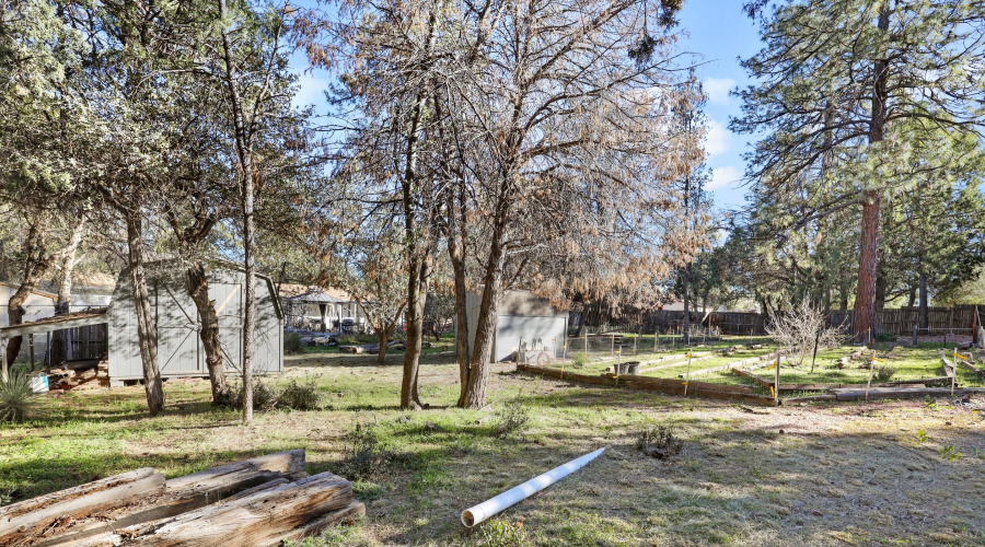 Backyard w Trees-Shed