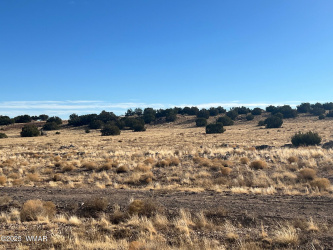 000 CR5139, Concho, Arizona 85924, ,Land,For Sale,CR5139,258938