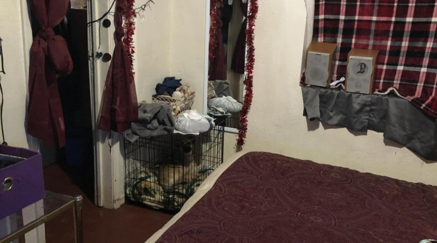 Second 414 Unit C Bdrm 2 (1)