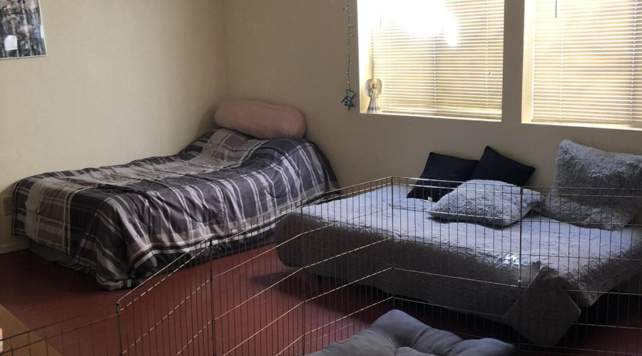 Second 414 Unit D LR (1)