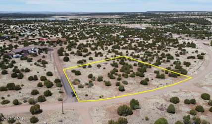 8542 Airport, White Mountain Lake, Arizona 85912, ,Land,For Sale,Airport,258950