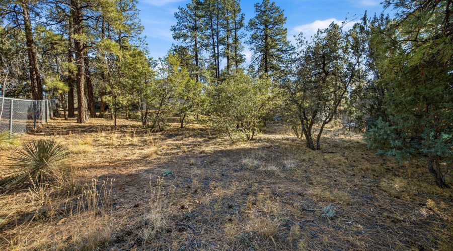 2325WSylvesterCir-ShowLow-AZ-25