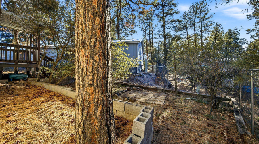 2325WSylvesterCir-ShowLow-AZ-23