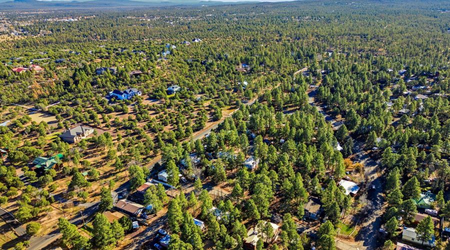 2325WSylvesterCir-ShowLow-AZ-27