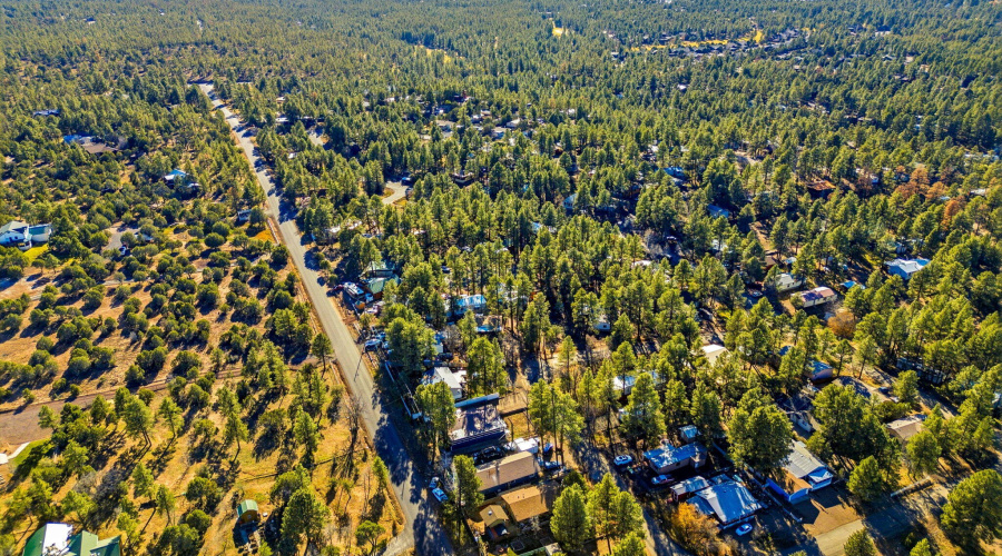 2325WSylvesterCir-ShowLow-AZ-28