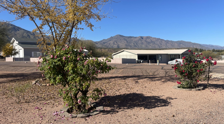 corner area at Dryer Dr