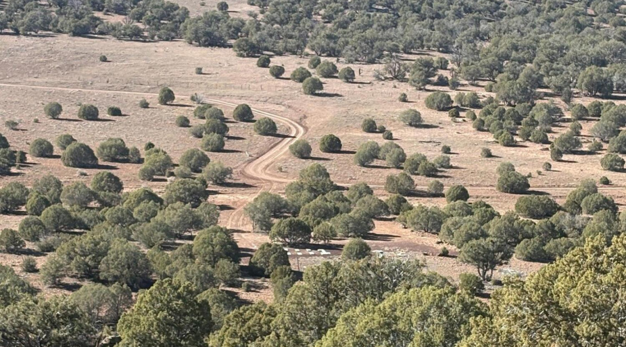 View of Lower Property