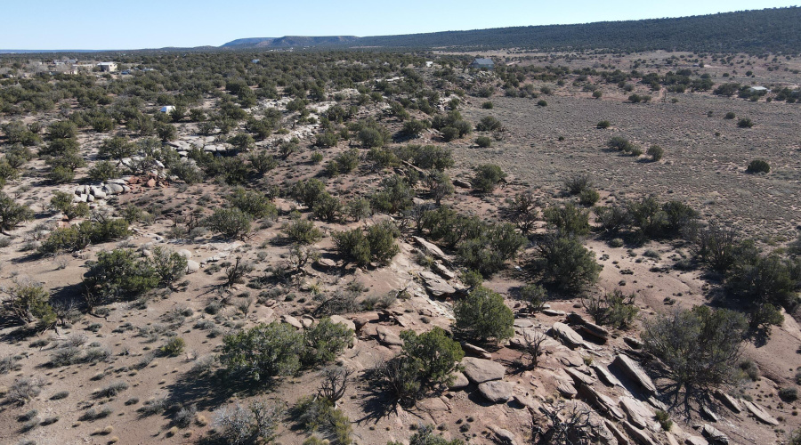 dji_fly_20251217_133334_104_176607125966