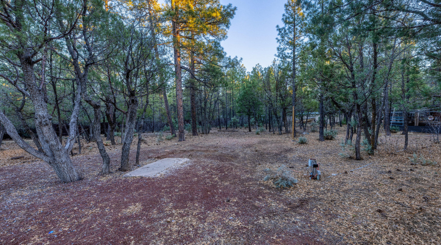 013_3400_goodwill_ln