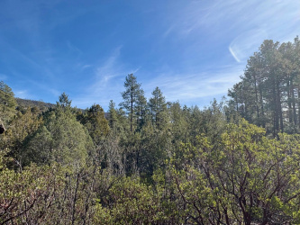 Lot 19 Elk Rub Lane, Payson, Arizona 85541, ,Land,For Sale,Elk Rub,93217