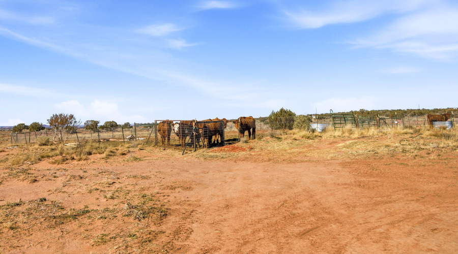 4394KeatsRd-Snowflake-AZ-27