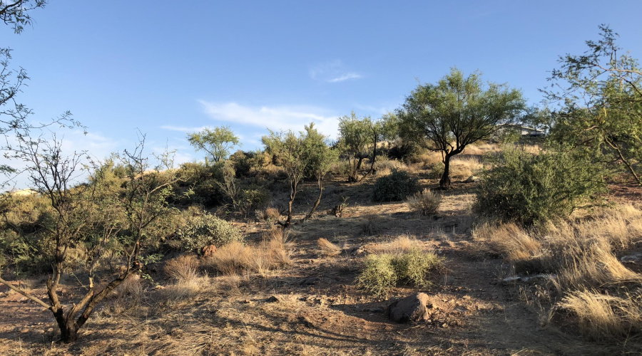 35BD32B1-7FFF-4EAA-89DB-EEAD5E753B28