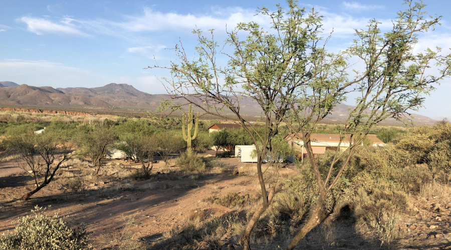 70C674D2-4616-43BB-BB29-3B1084604D76