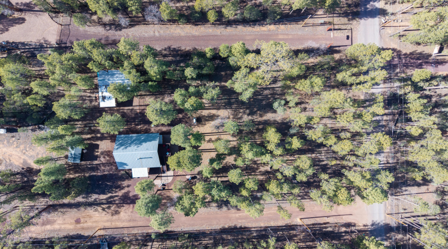 dji_fly_20251218_121044_0234_17661613366