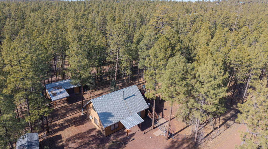 dji_fly_20251218_121028_0233_17661613366