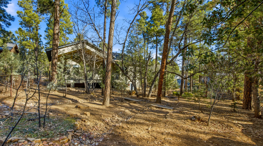 961ELaurenCt-ShowLow-AZ-24