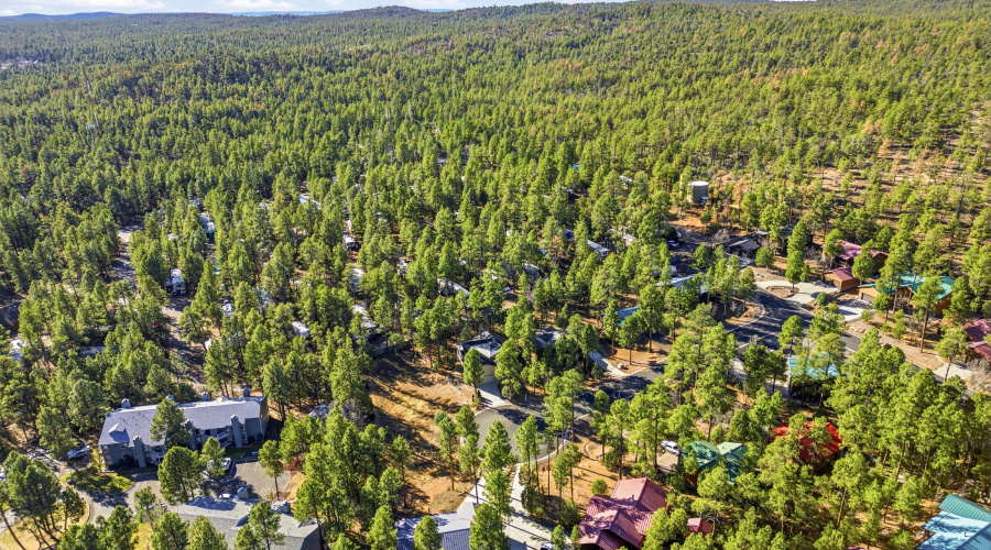 961ELaurenCt-ShowLow-AZ-29